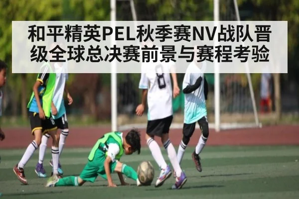 和平精英PEL秋季赛NV战队晋级全球总决赛前景与赛程考验